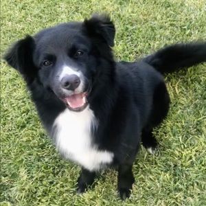 Meet your Posher, Brittney